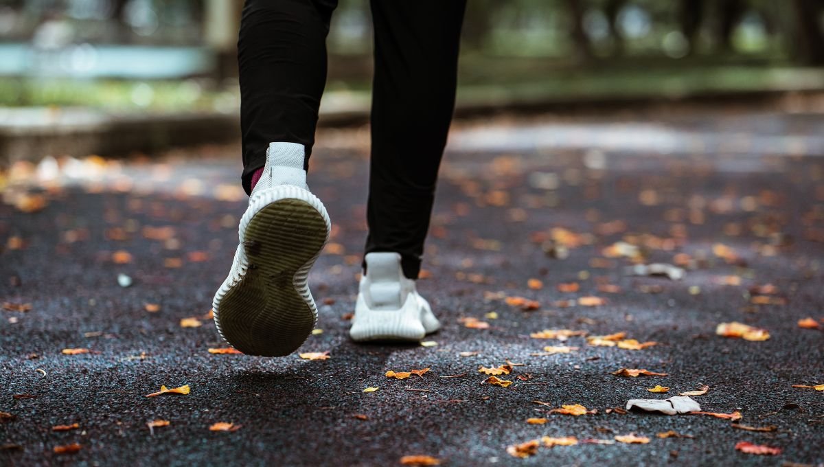 Schools and Institutes